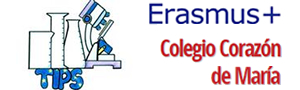 Imagen noticia - Erasmus+: el CODEMA (Gijón) acoge la segunda reunión transnacional del proyecto TIPS