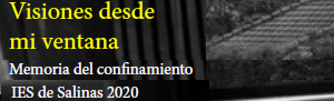 Imagen noticia - IES Salinas. Proyecto Visiones desde mi ventana. Memoria del confinamiento