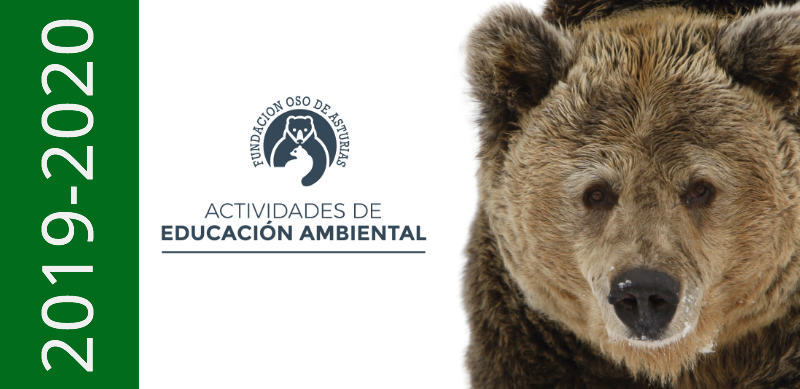 Actividades escolares de Educación Ambiental: Fundación Oso de Asturias