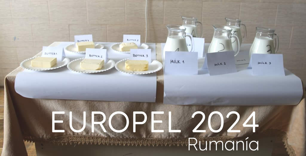 Concurso EUROPEL 2024 (Rumanía). Participación del IES Juan Escultor de Villanueva (Pola de Siero) Concurso EUROPEL 2024 (Rumanía). Participación del IES Juan Escultor de Villanueva (Pola de Siero)