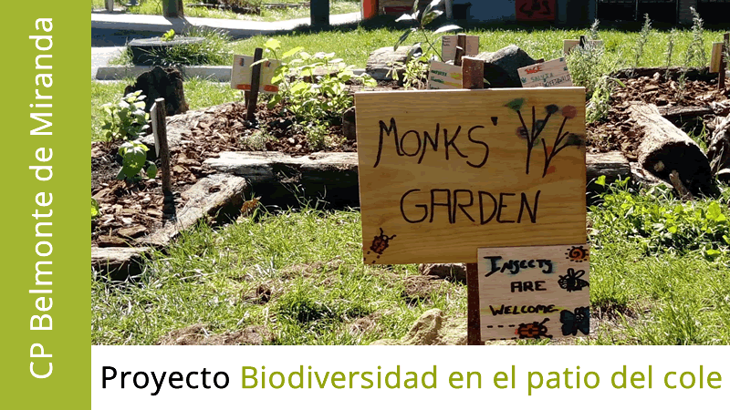 CP Belmonte de Miranda. Biodiversidad en el patio del cole