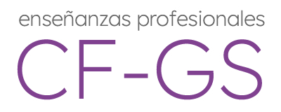 Ciclos Formativos de Arte de GS